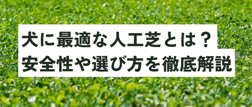 犬に最適な人工芝とは？安全性や選び方を徹底解説